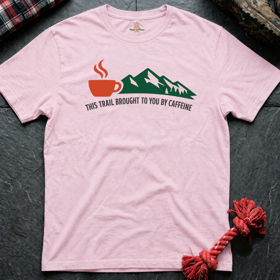 Brought to you T-Shirt
