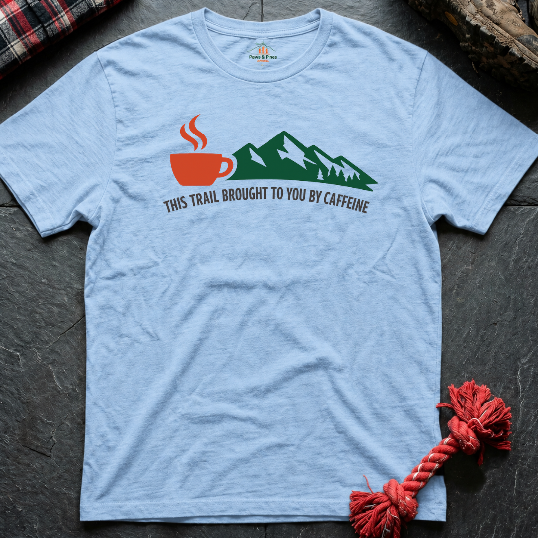Brought to you T-Shirt